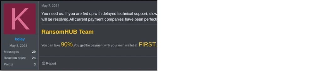ransomwarereport4
