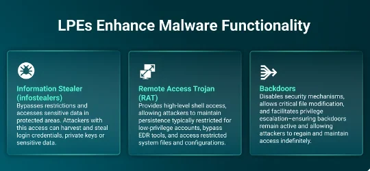 LPEs Enhance Malware Functionality Infographic