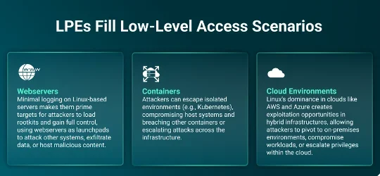LPEs Fill Low-Level Access Scenarios infographic